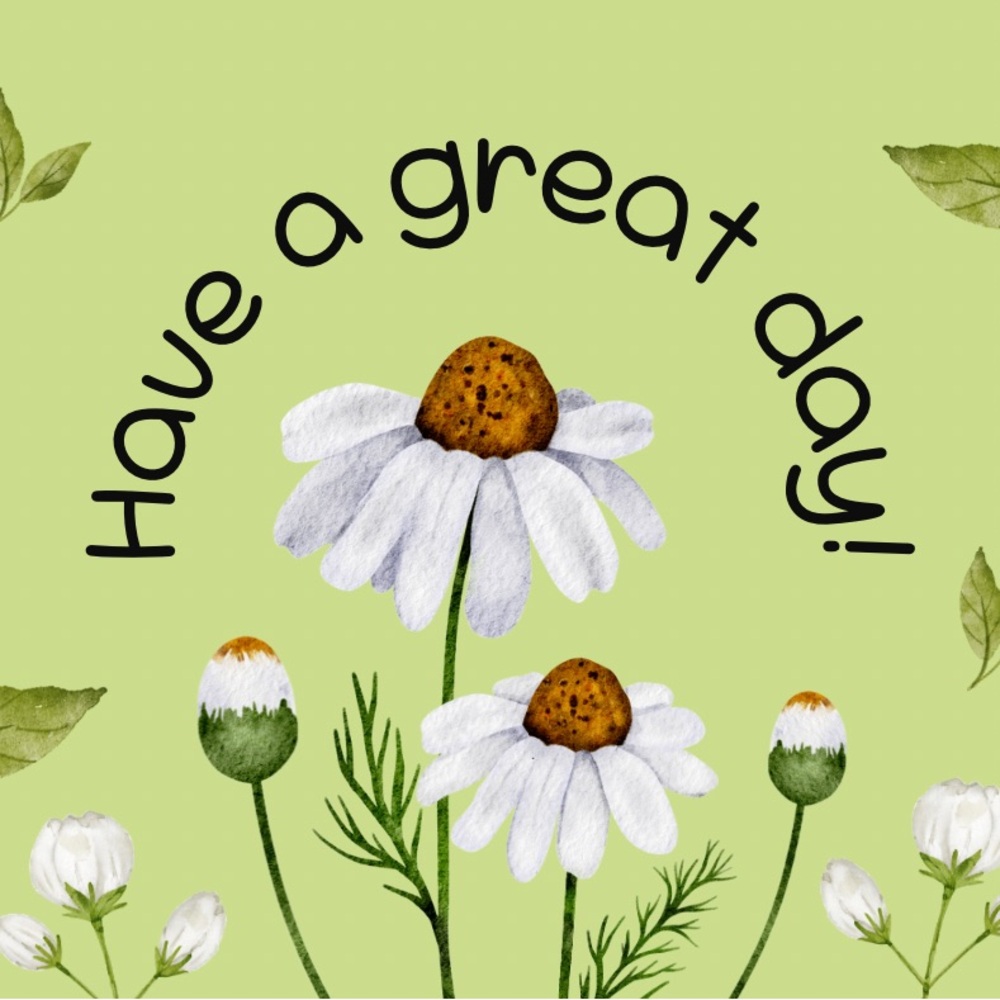 Have a Beautiful day !